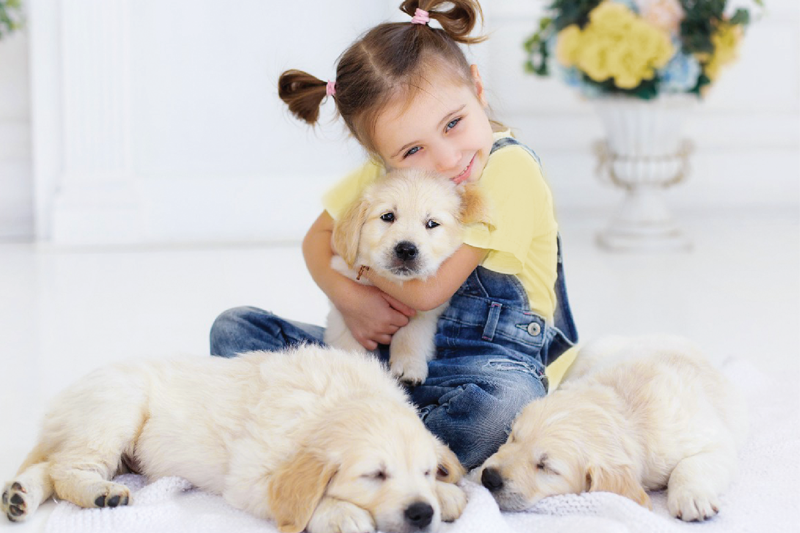 Blog_19-IMGS-800x533-02.png