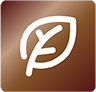 ICON-ECO-DRY.png