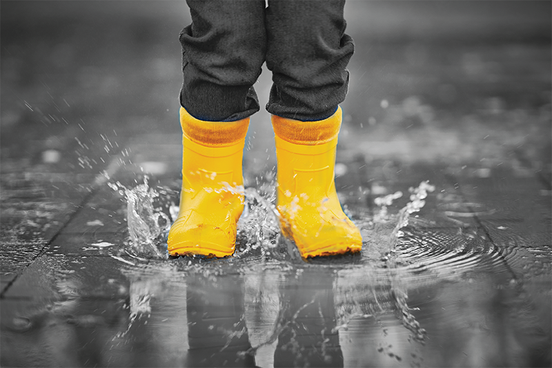 rainy_season.png