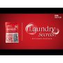 Descal - Washing Machine Descal - Washing Machine