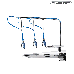 CL 1