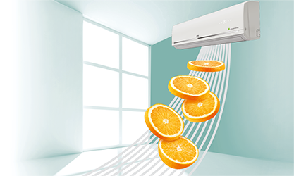 PROTECTS-FROM-INDOOR-POLLUTION-IMAGE