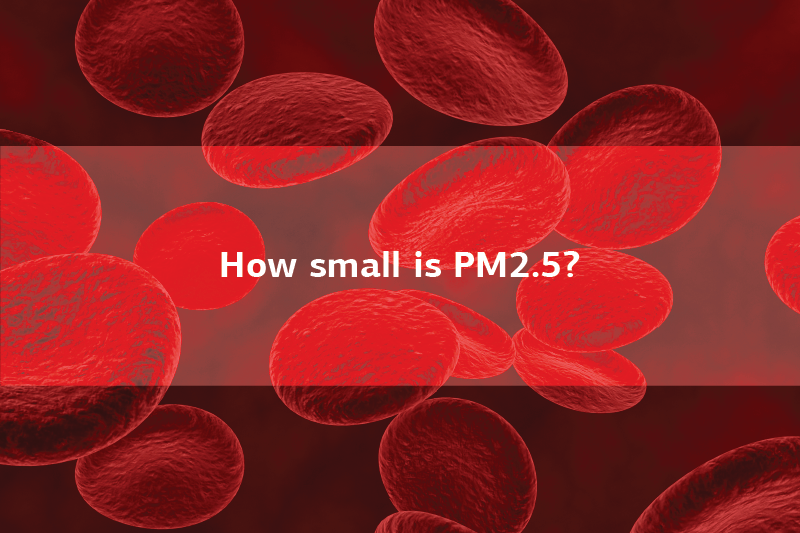 How small is PM 2.5
