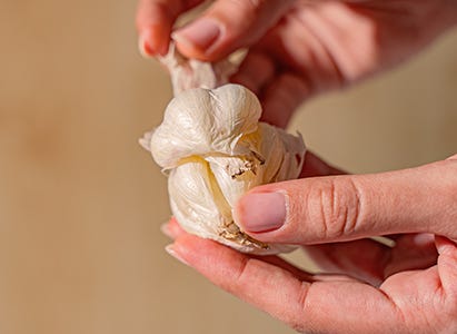 Peeling Garlic